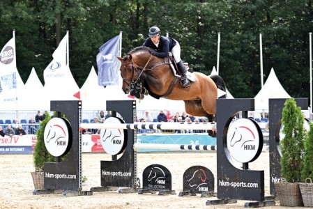 paard-meganus-ps-09-23-01-4349800x800.jpeg