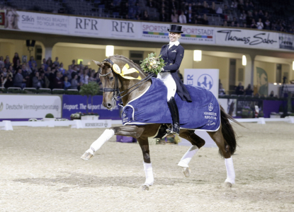 paard-schermafbeelding-2022-01-28-om-143354.png