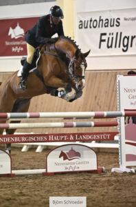 paard-schermafbeelding-2023-01-26-om-095909.png