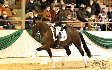 paard-stemilion-schau-2022-kiki2x.jpeg
