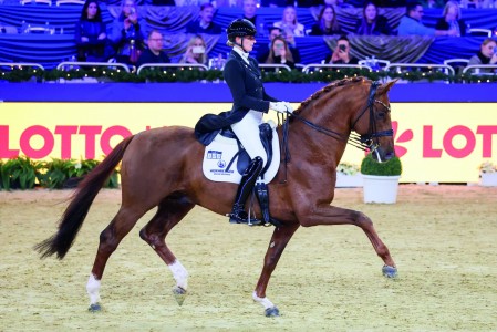 paard-vitalosllfx38661920x1920.jpeg
