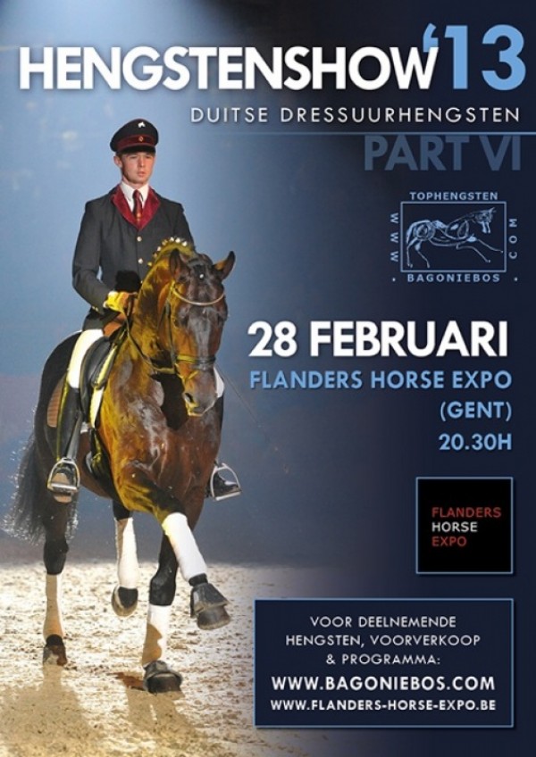 Hengstenshow: 28 Februari op Flanders Horse Expo !!