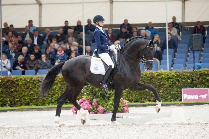 Bagoniebos Toto Jr Glock 39 S